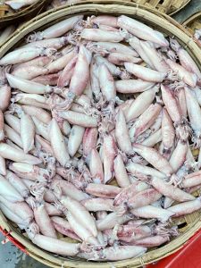 Mực Trứng Hấp Quảng Nam Size 5-7cm - HẢI SẢN BÌNH MINH